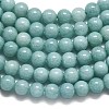 Natural Malaysia Jade Beads Strands G-L645-A01-4mm-25-4