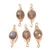 Natural Grey Agate Faceted Flat Round Links Connector Charms with Copper Herringbone Wire-Wrapped KK-Z152-09G-01-1