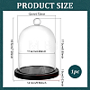 Arch Glass Dome Cover AJEW-WH0481-606B-2