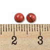 Synthetic Red Turquoise Cabochons G-H309-03-08-3