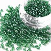 Glass Seed Beads SEED-US0003-3mm-107-1