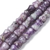 Natural Lepidolite/Purple Mica Stone Beads Strands G-M445-B02-01-2