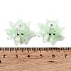 Handmade Lampwork Beads X1-LAMP-H065-03G-3