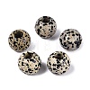 Natural Dalmatian Jasper Beads G-Q608-05G-1