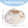 Natural Shell Jewelry Plates DJEW-WH0058-08-2