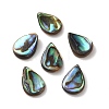 Natural Paua Shell Beads SSHEL-F305-02A-1