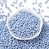 6/0 Glass Seed Beads X1-SEED-L011-08A-23-2