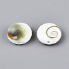 Natural Shiva Eye Shell Beads BSHE-T014-33B-2