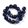 Natural Sodalite Beads Strands G-S345-10mm-26-3