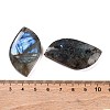 Natural Labradorite Cabochons G-B085-05-3