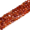 Natural Banded Agate Beads Strands G-P553-G09-02-2