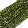 Natural Peridot Beads Strands G-I389-A27-2