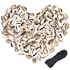 DIY Jewelry Making Kits DIY-PA0002-10-1