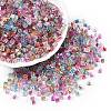 6/0 Transparent Inside Colours Glass Seed Beads SEED-N006-003-1