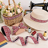 10 Yards Vintage Jacquard Nylon Ribbon OCOR-PH0036-87-4