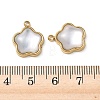 Natural Freshwater Shell Pendants STAS-G397-12G-01-3