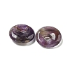 Natural Amethyst Donut/Pi Disc Charms G-G142-02L-2