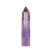 Point Tower Natural Natural Amethyst Home Display Decoration PW-WG24364-01-1