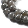 Natural Labradorite Beads Strands LS-G-S333-6mm-035-01-3