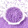 FGB Frosted Transparent Glass Seed Beads SEED-N013-02A-07-2