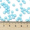 6/0 Glass Seed Beads X1-SEED-L011-08A-13-4