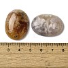 Natural Cherry Blossom Agate Cabochons G-N343-05-3