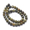 Natural Silver Leaf Jasper Beads Strands G-I254-04B-2