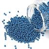 MIYUKI Round Rocailles Beads SEED-X0054-RR5116-1