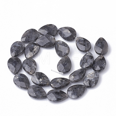 Natural Labradorite Beads Strands G-S292-17-1