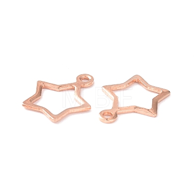 304 Stainless Steel Charms LS-STAS-P227-21RG-1