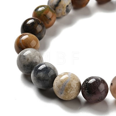 Natural Dendritic Jasper Beads Strands G-E571-31B-1