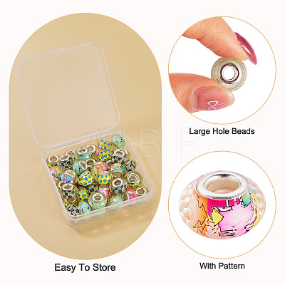 40Pcs 4 Colors Resin European Beads RPDL-TA0001-15-1
