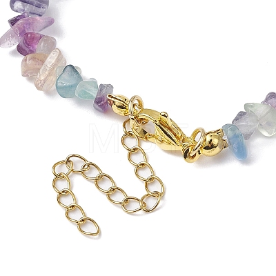 Natural Fluorite Chip Beaded Necklace NJEW-JN04616-11-1