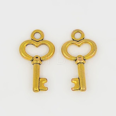 Gifts Ideas for Her Tibetan Style Alloy Charms GLF11975Y-1