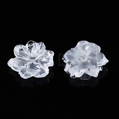 Resin Cabochons X-RESI-S364-46C-1