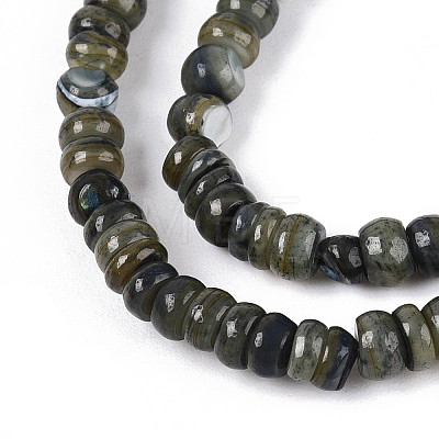 Natural Freshwater Shell Dyed Beads Strands SHEL-T020-29A-01-1