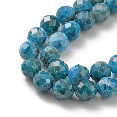Natural Apatite Beads Strands G-G927-32-8MM-1