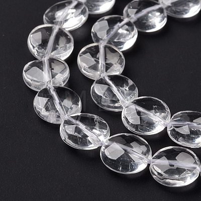 Natural Quartz Crystal Beads Strands G-C238-44B-1