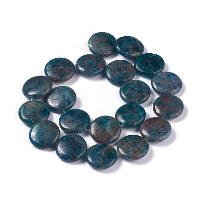 Natural Apatite Beads Strands G-H242-04A-1