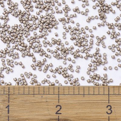 MIYUKI Delica Beads SEED-J020-DB1162-1