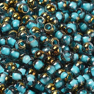 Glass Seed Beads SEED-H002-B-D223-1