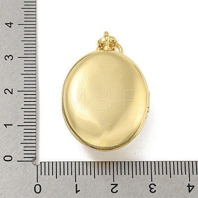 Brass Cubic Zirconia Locket Pendants KK-N254-93F-G-1