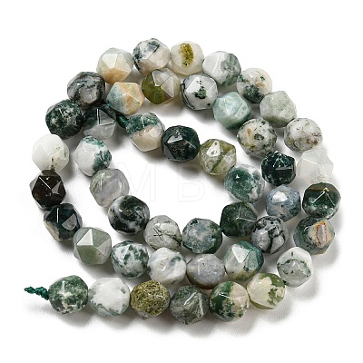 Natural Tree Agate Beads Strands G-C085-A03-01-1