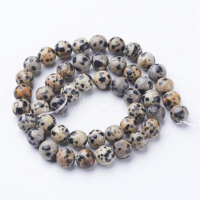 Natural Dalmatian Jasper Beads Strands GSR004-1