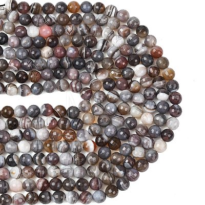 Natural Botswana Agate Beads Strands G-G453-B01-10mm-1