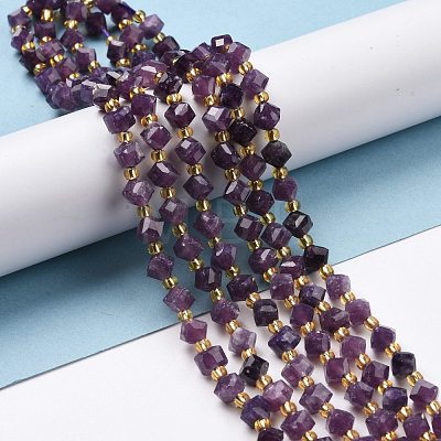 Natural Lepidolite Beads Strands G-P463-09-1