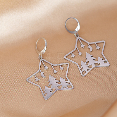 201 Stainless Steel Leverback Earrings FS-WGCA6C3-01-1