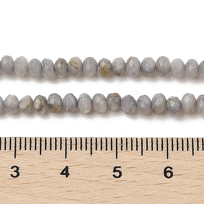 Natural Freshwater Shell Dyed Beads Strands SHEL-R100-13A-04-1