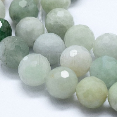 Natural Myanmar Jade Beads Strands G-D0013-50-1