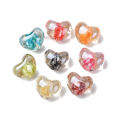 Transparent Resin & Dyed Natural Shell Beads RESI-G119-09-1